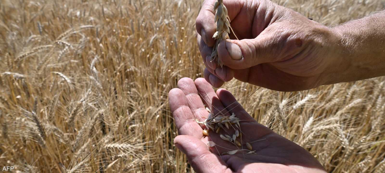 روسيا انسحبت من اتفاق تصدير الحبوب.. أرشيفية