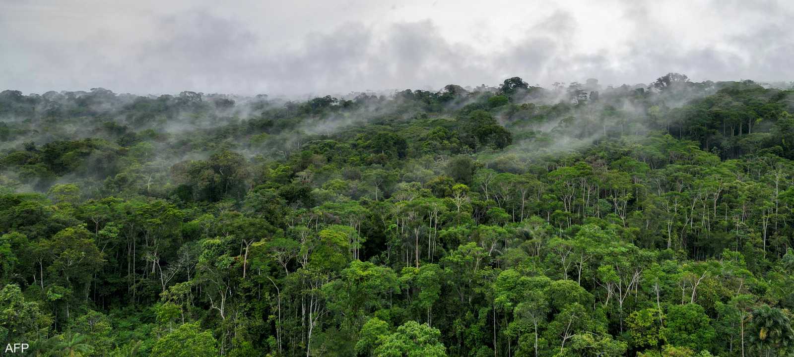 غابة الأمازون في الإكوادور