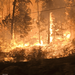 حرائق الغابات تقترب من مدينة كيلونا في الغرب الكندي