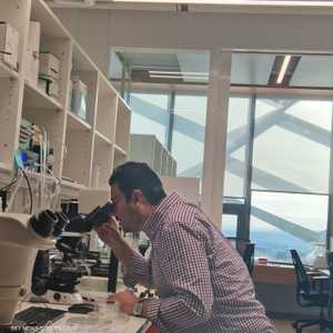 الورقة البحثية تشرح التغييرات في عملية تنظيم الجينوم