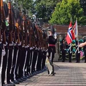 البطريق يستعرض حرس الشرف