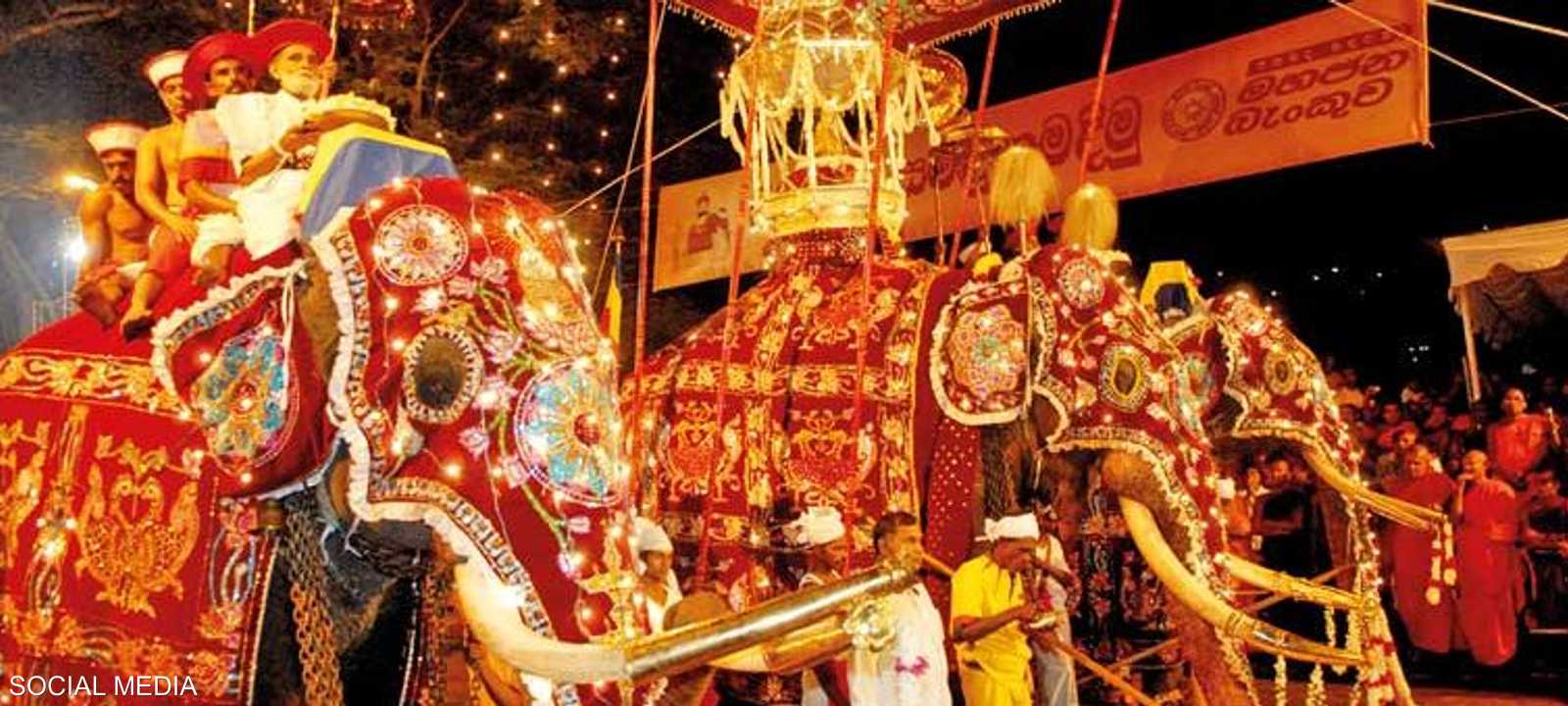 توجه انتقادات لاستخدام الفيلة في مثل هذه الأحداث