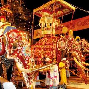 توجه انتقادات لاستخدام الفيلة في مثل هذه الأحداث