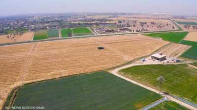 العراق أوقف زراعة الأرز والذرة الصفراء بسبب نقص المياه