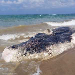 المشهد أثار ضجة على منصات التواصل الاجتماعي في لبنان