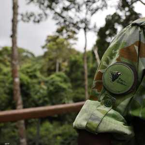 لدى الغابون وفرة في اليورانيوم والمنغنيز والأخشاب