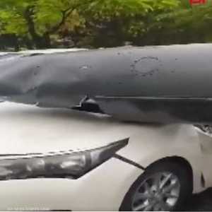 لم يسفر الحادث عن وقوع إصابات بشرية