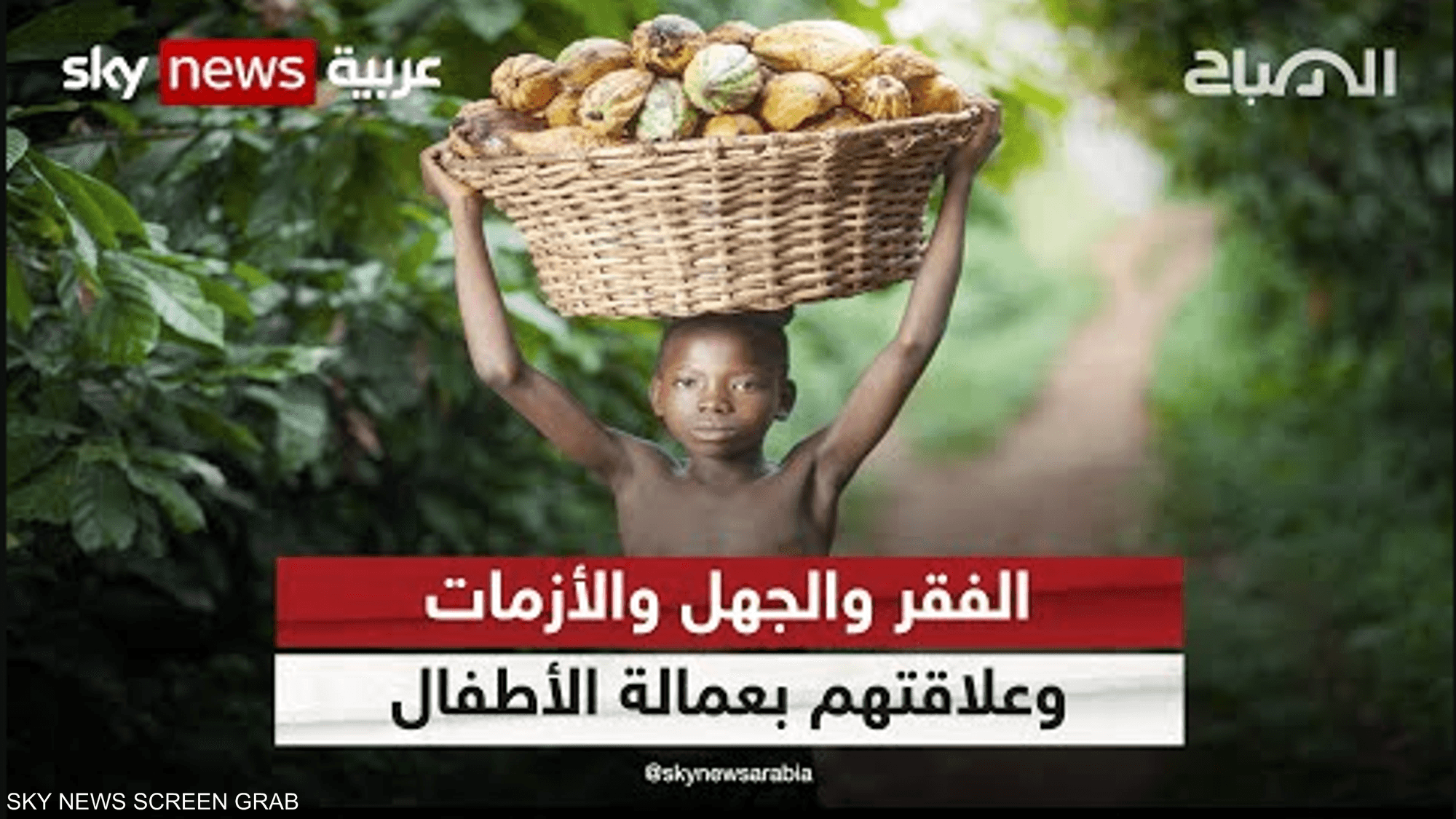 الفقر والجهل والأزمات وعلاقتهم بعمالة الأطفال
