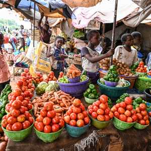 العقوبات رفعت أسعار السلع والخدمات في النيجر