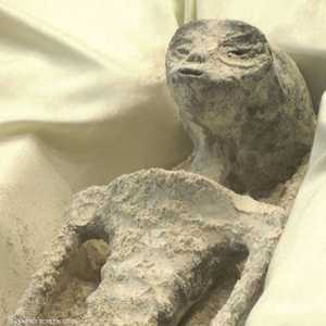 جثث لكائنات غريبة عمرها 1000 عام تعرض أمام البرلمان المكسيكي