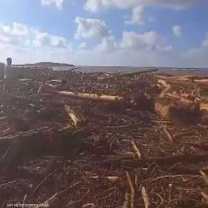 انتشال جثامين لضحايا درنة على بعد عشرات الكيلومترات