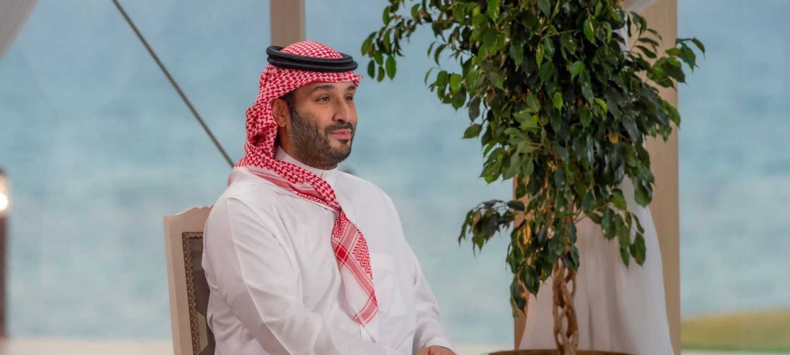 ولي العهد السعودي، الأمير محمد بن سلمان