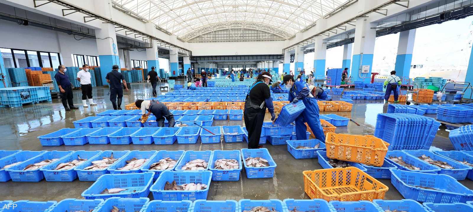 صادرات الأسماك في اليابان - أرشيفية
