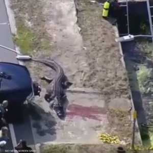 تم التعرف على الضحية وهي سيدة أربعينية