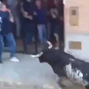 الثور أصاب الرجلين السبت وأحدهما توفي الأحد