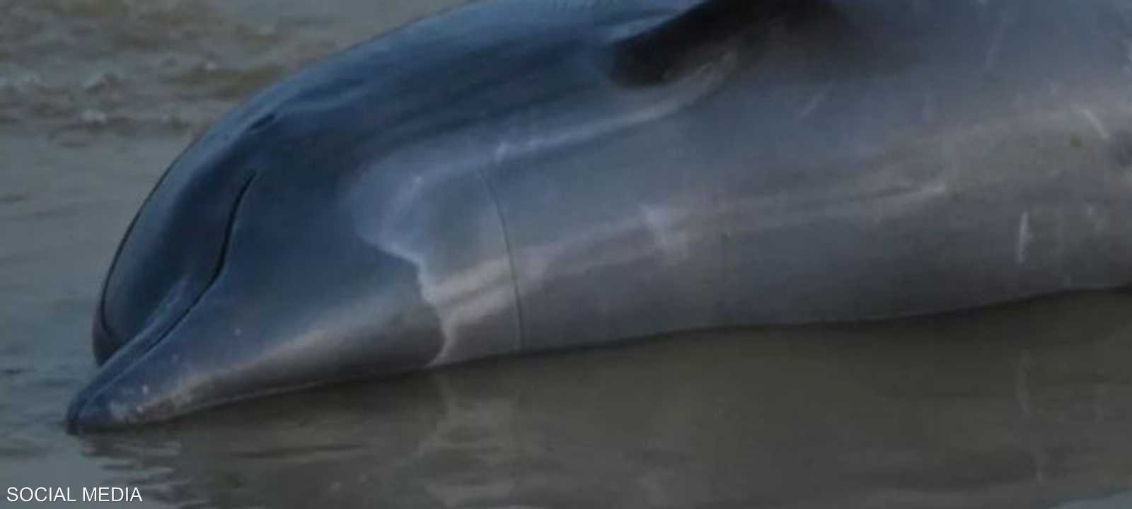 تتوقع السلطات المزيد من موجات الجفاف الحادة