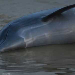 تتوقع السلطات المزيد من موجات الجفاف الحادة