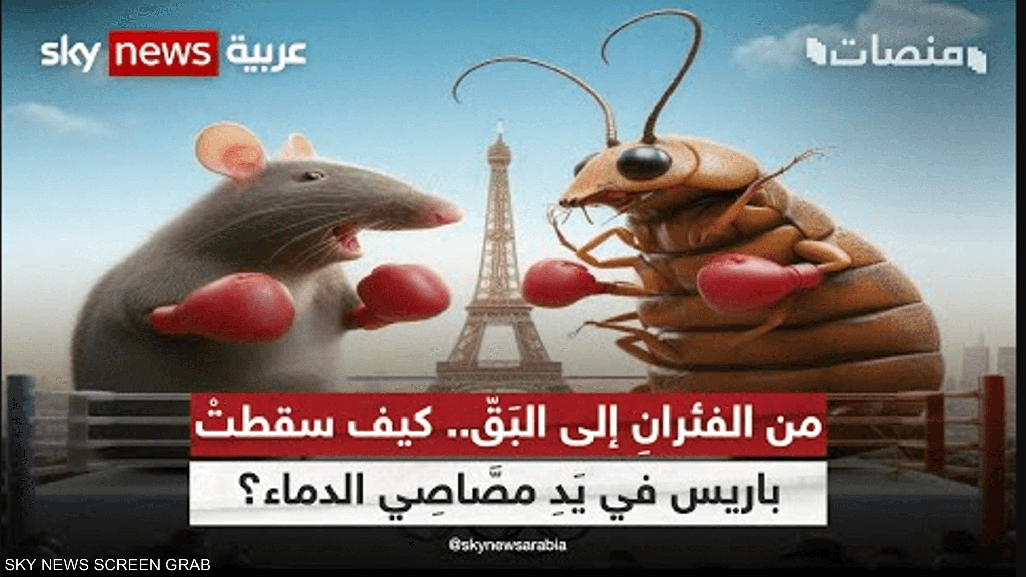 من الفئران إلى البَقّ.. كيف سقطت باريس في يد مصَّاصي الدماء؟