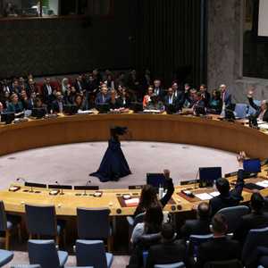 أميركا استخدمت الفيتو ضد مشروع القرار