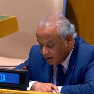 السفير التونسي لدى الأمم المتحدة طارق الأدب