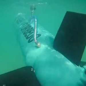 كيف تقاتل حماس؟