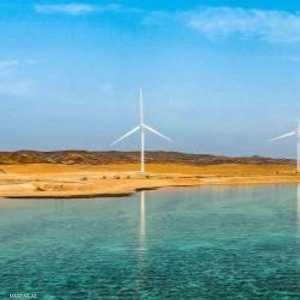 الإمارات تسرع جهودها للاعتماد على الطاقة النظيفة