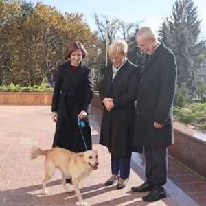 أصبح الكلب الرئاسي في مولدوفا "كودروت" في دائرة الضوء