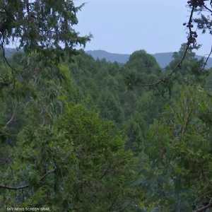 إثيوبيا توسع اهتمامها في تنمية الغابات للحفاظ على البيئة
