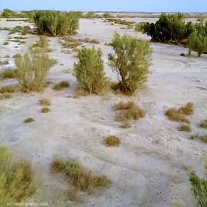 العراق يفقد نصف مساحاته المزروعة بسبب الجفاف