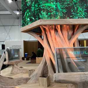 شجرة الحياة أول عمل فني تفاعلي يستخدم الذكاء الاصطناعي