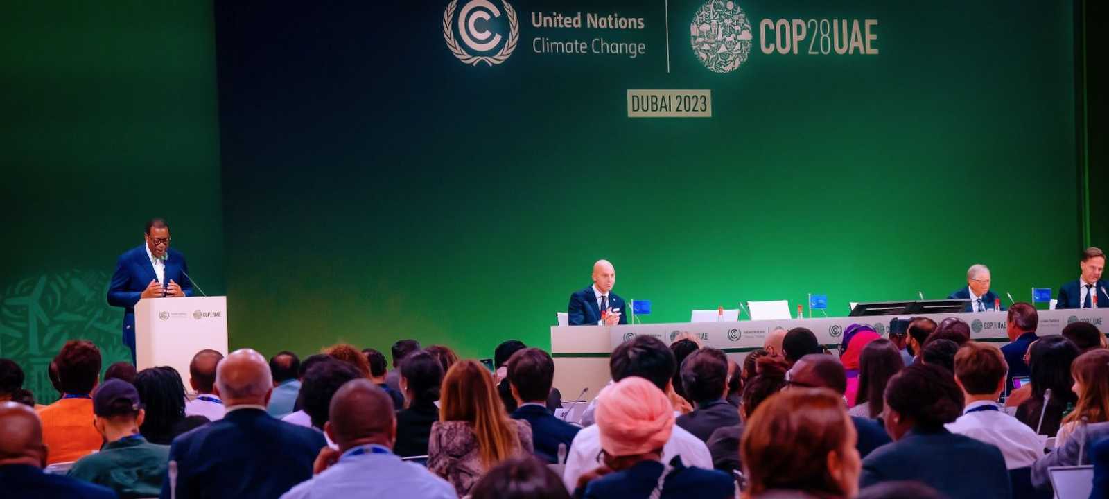 صور من قمة تمويل التكيف من أجل إفريقيا COP28