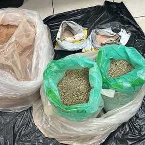 التحقيقات جارية للوصول إلى أعضاء الشبكة الجرمية