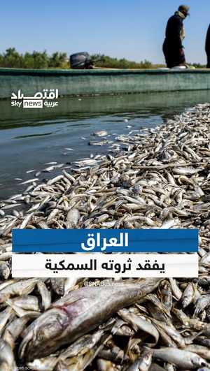 لهذا السبب.. العراق يفقد ثروته السمكية