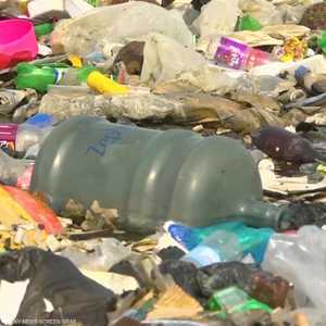 "البلاستيك الحيوي" مستقبل الصناعات الصديقة للبيئة