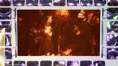 الذكاء الاصطناعي.. أداة سحرية لمحاربة التغير المناخي