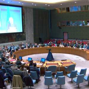 رياض المالكي: مجلس الأمن تم خطفه من قبل دولة لها حق الفيتو