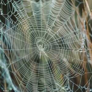 أصيبت السيدة بالتهاب شديد في الأذن