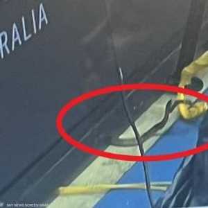 يعتبر هذا النوع من الثعابين السامة في أستراليا