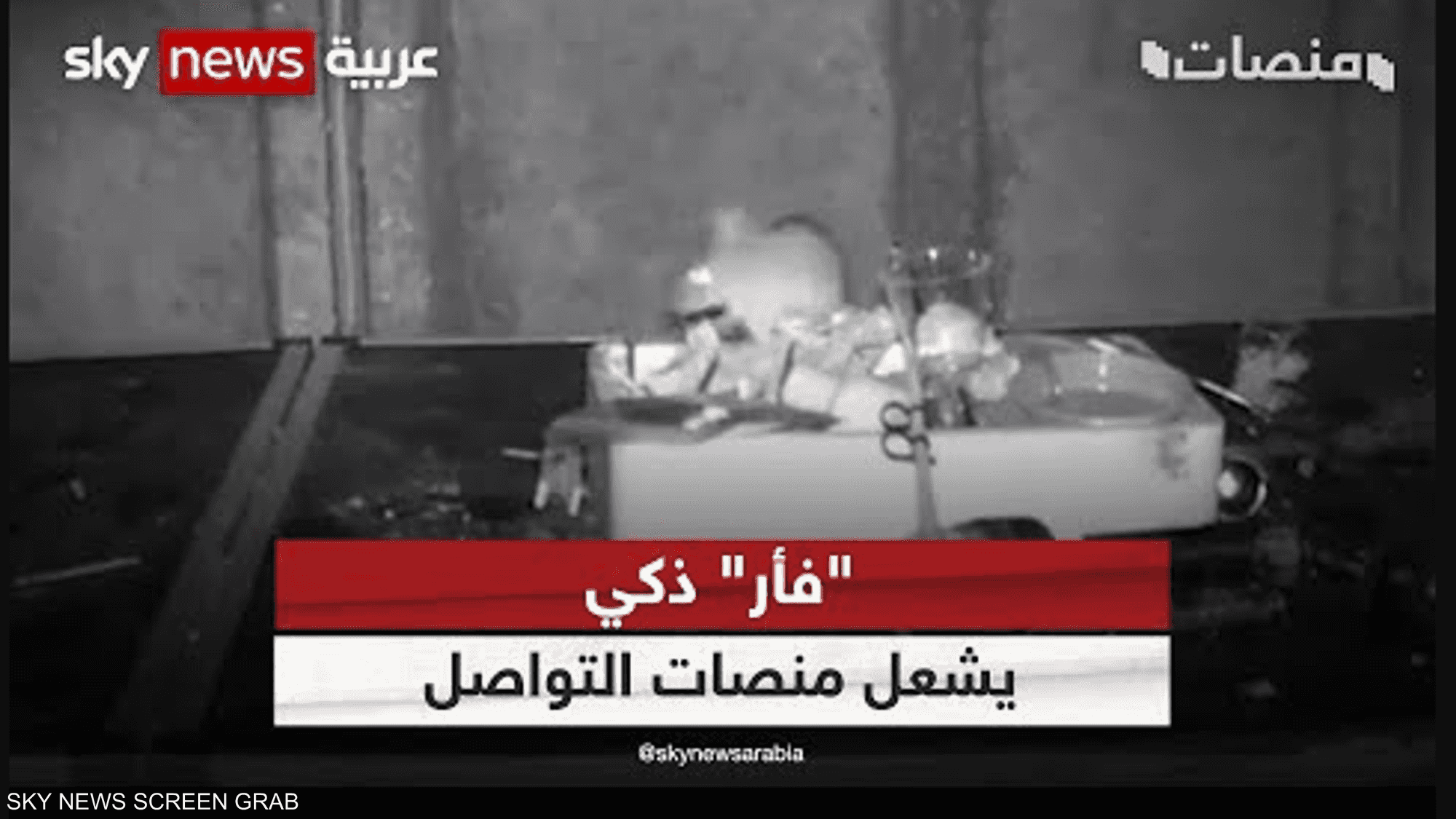 "فأر" ذكي يعيد ترتيب الأشياء.. يشعل منصات التواصل