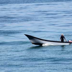 يخاطر صيادو السمك في غزة