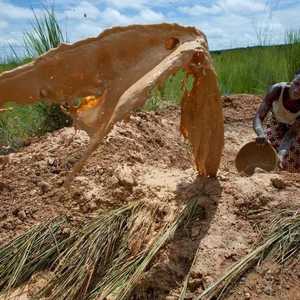 تعد مالي من الدول الرائدة في انتاج الذهب في أفريقيا
