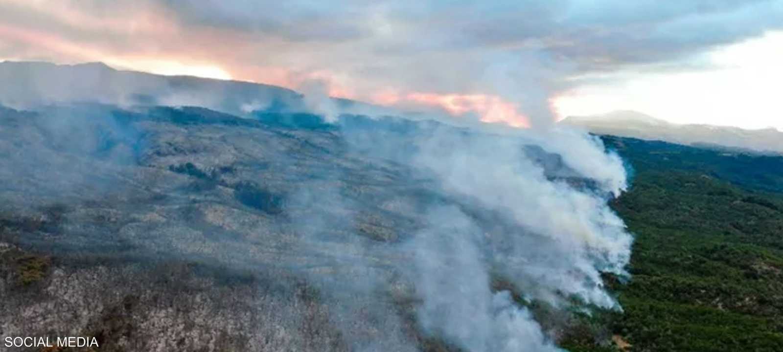 الحريق دمر 600 هكتار