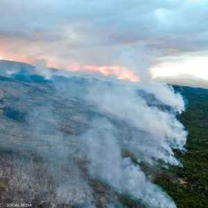 الحريق دمر 600 هكتار
