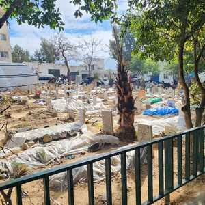 السلطات الصحية في غزة لم تعد قادرة على إحصاء جميع القتلى