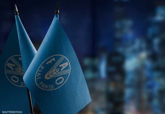 شعار منظمة الفاو