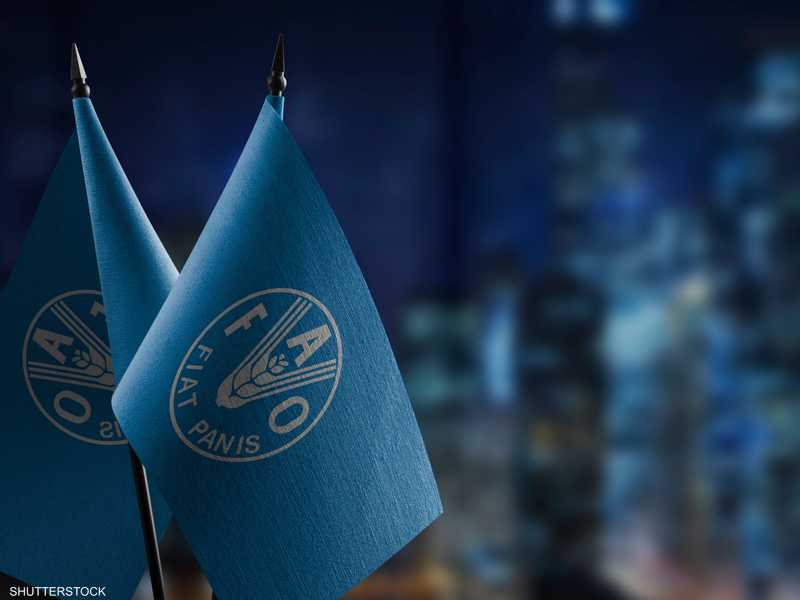 شعار منظمة الفاو