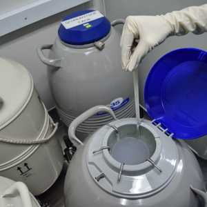 معدات تجميد البويضات.. أرشيفية