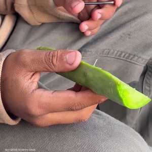 سكان شمال غزة يطالبون بالتوصل لاتفاق لهدنة بأسرع وقت