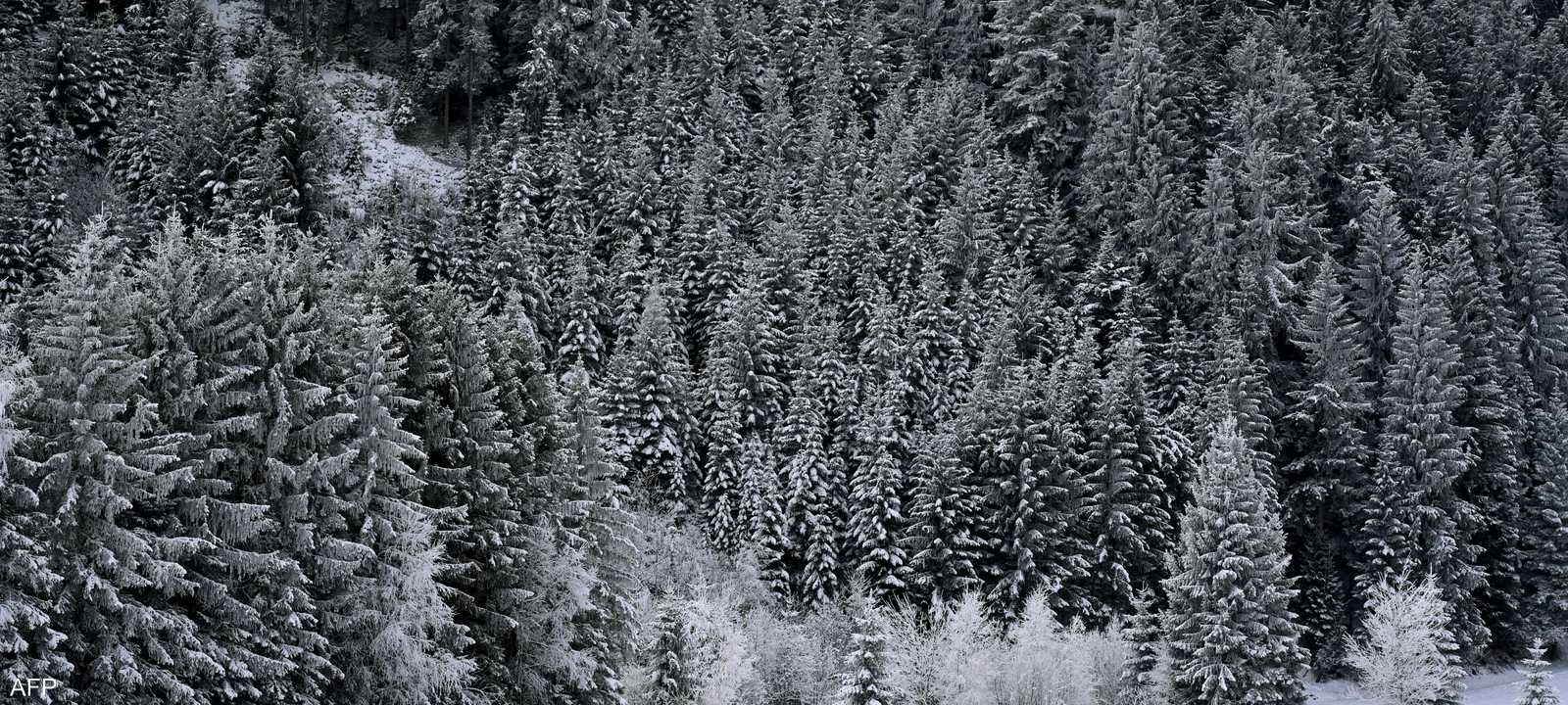 تم سلوك طرق جديدة تدريجيا لتجنب الحواجز