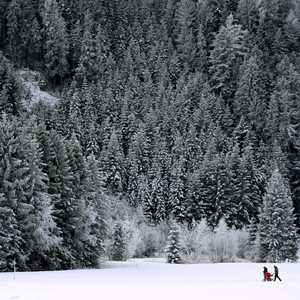 تم سلوك طرق جديدة تدريجيا لتجنب الحواجز